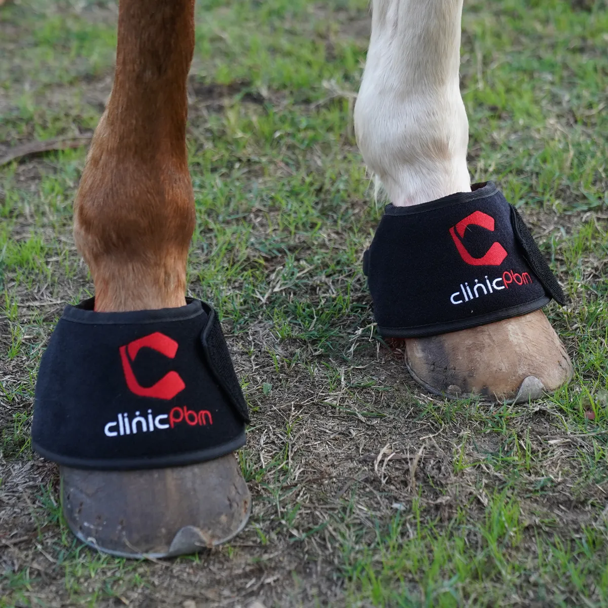 Red Light Therapy Hoof Boots for Horses – ClinicPBM-ClinicPBM