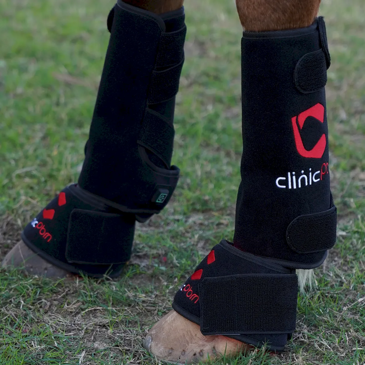 Red Light Therapy Leg Boots for Horses – ClinicPBM-ClinicPBM