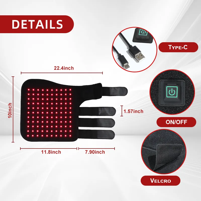 Red Light Therapy Leg Boots for Horses – ClinicPBM-ClinicPBM