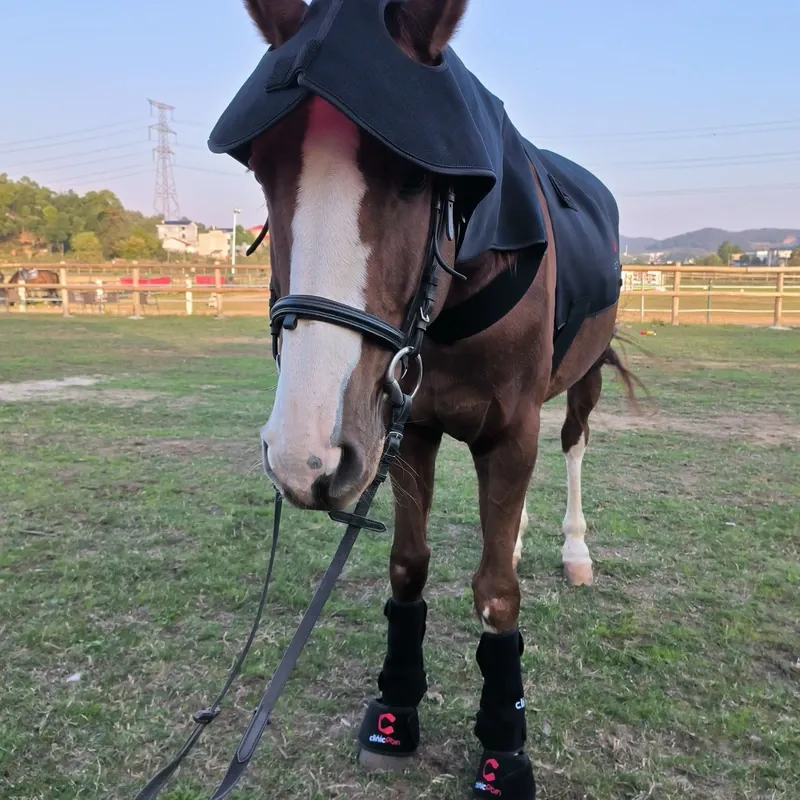 For Horses