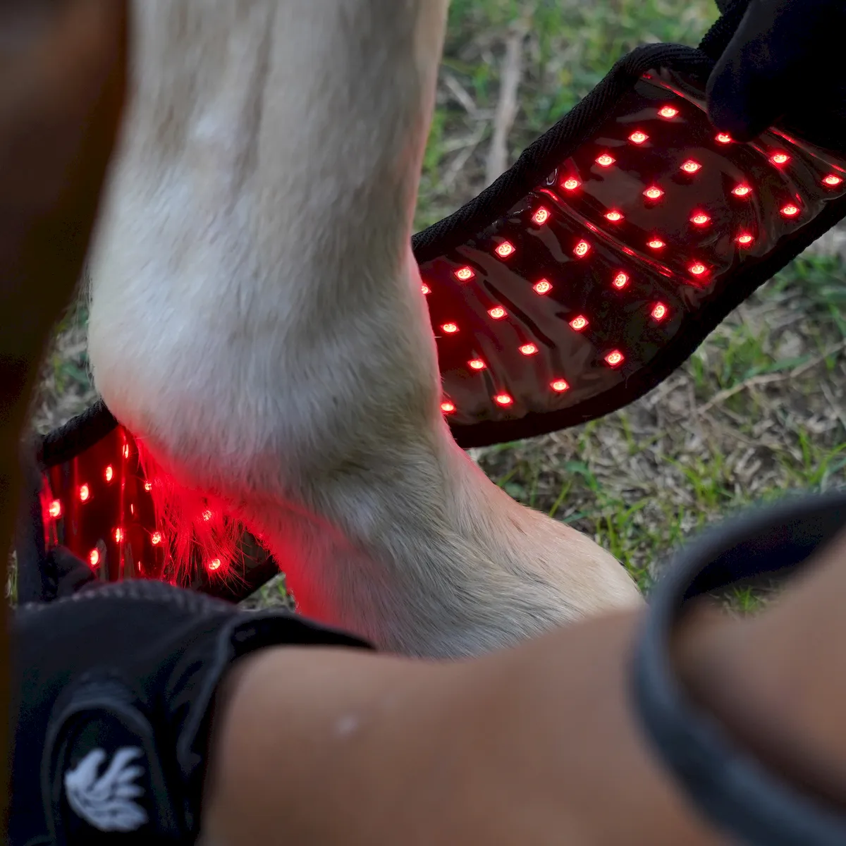 Red Light Therapy Hoof Boots for Horses – ClinicPBM-ClinicPBM