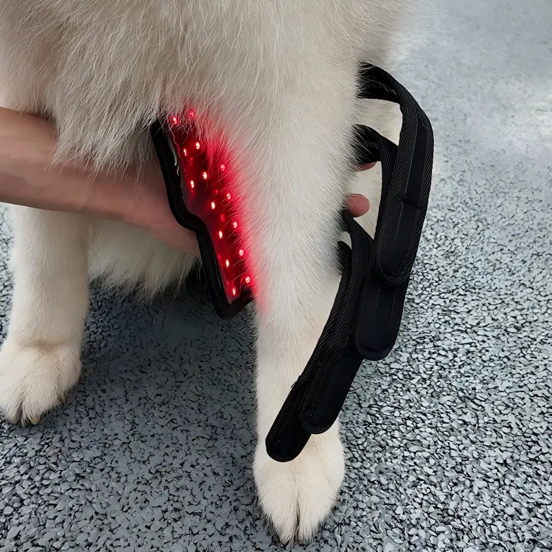 Red Light Therapy Pet Leg Wrap – ClinicPBM