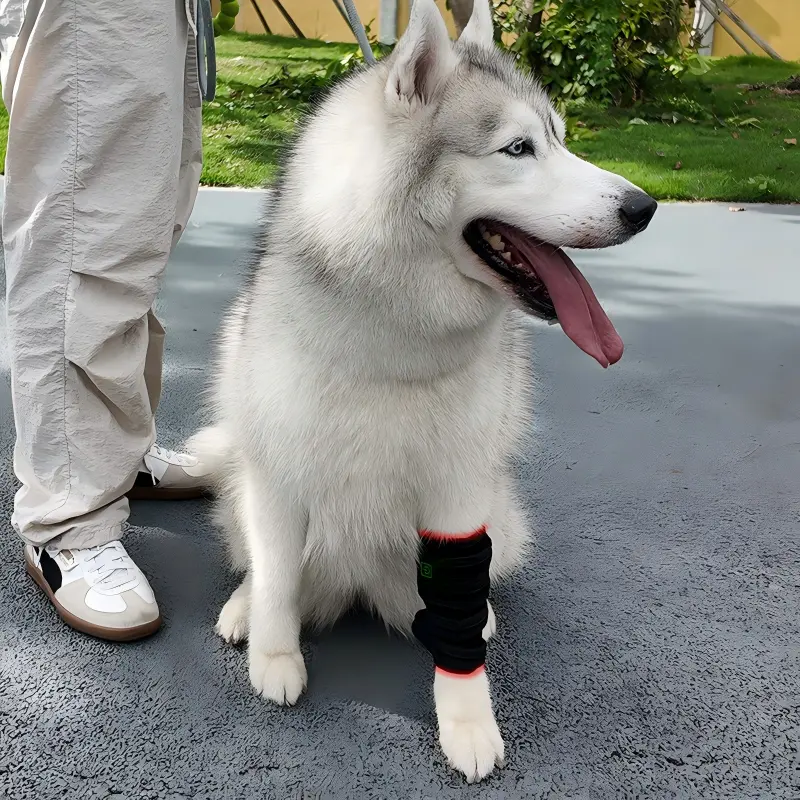 Red Light Therapy Pet Leg Wrap – ClinicPBM