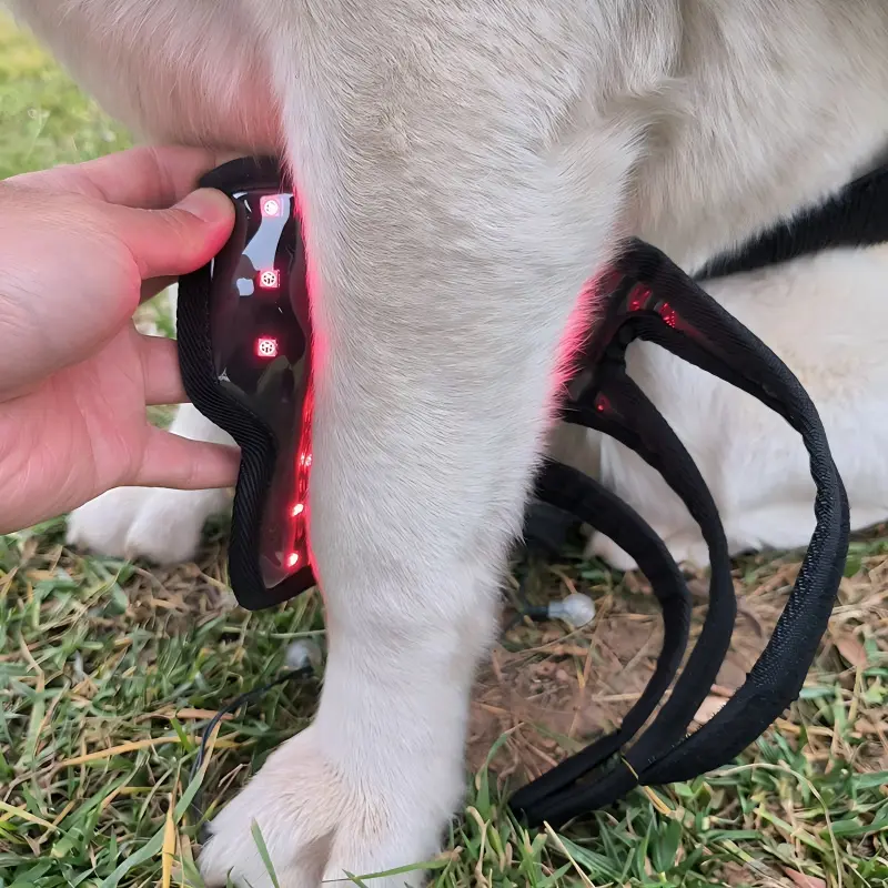 Red Light Therapy Pet Leg Wrap – ClinicPBM