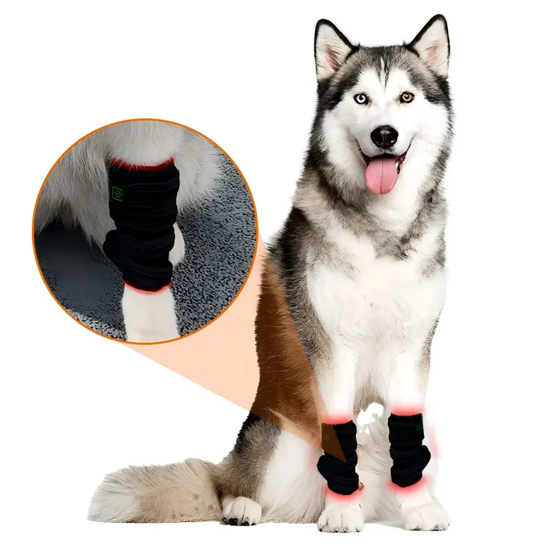 Red Light Therapy Pet Leg Wrap – ClinicPBM