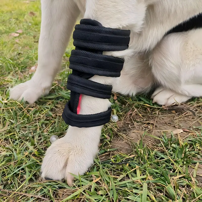 Red Light Therapy Pet Leg Wrap – ClinicPBM