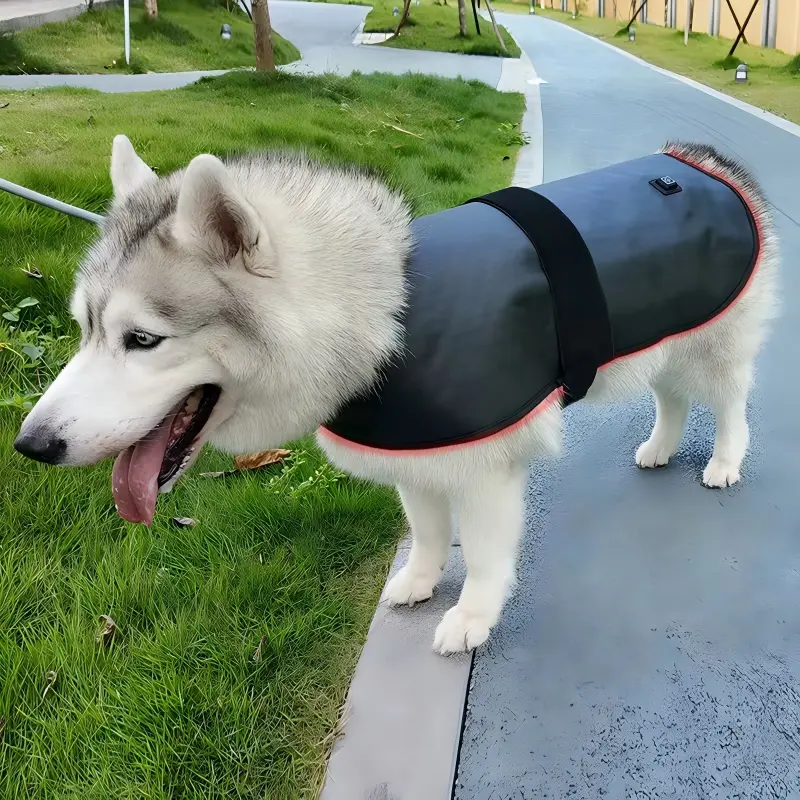 Red Light Therapy Pet Coat – ClinicPBM
