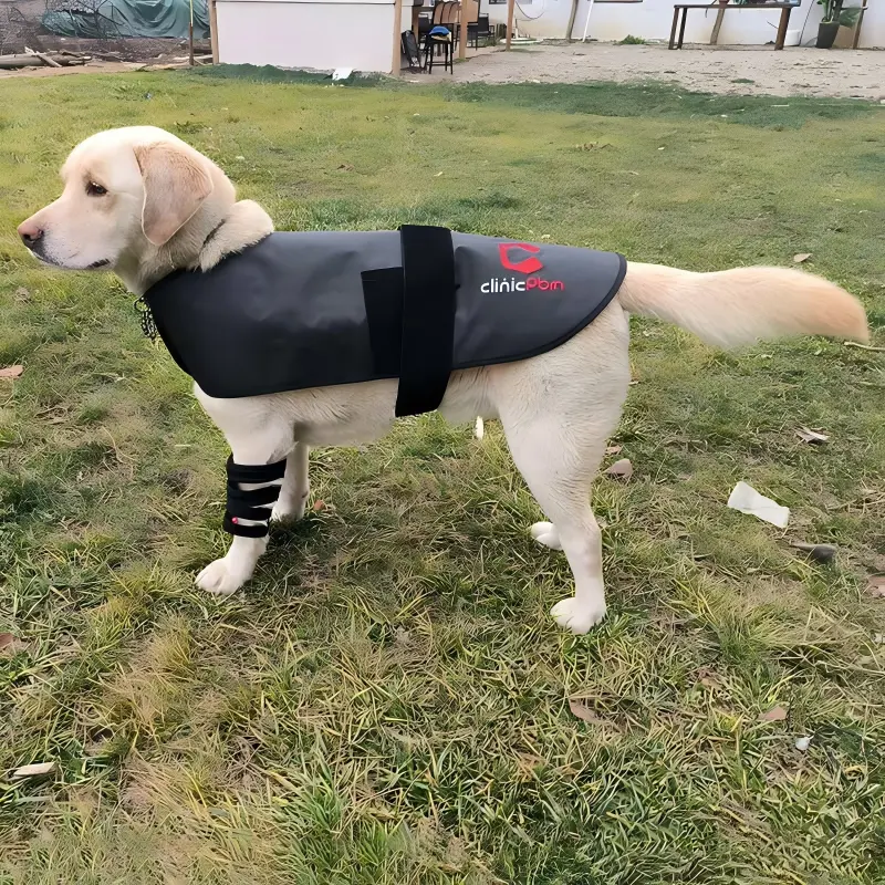 Red Light Therapy Pet Coat – ClinicPBM