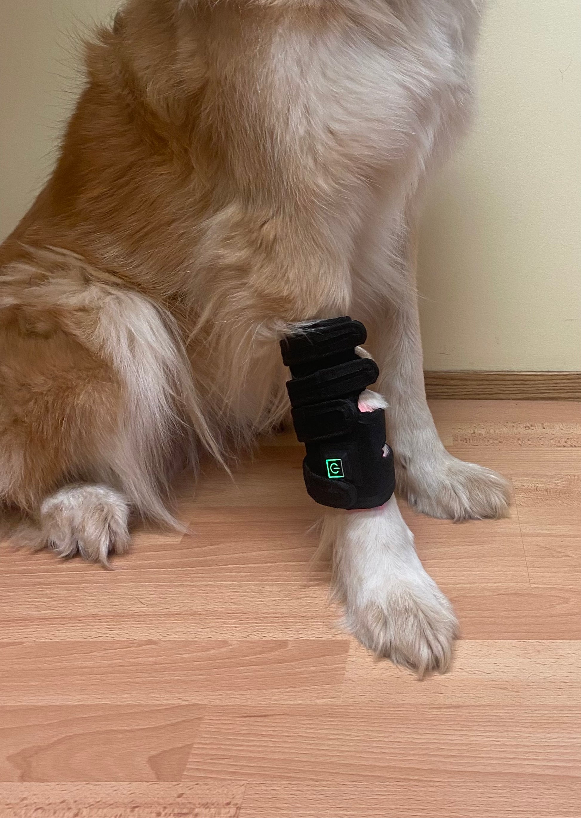 ClinicPBM Dog Leg Red Light Therapy Mat (Built-in Battery)