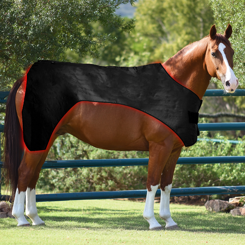 ClinicPBM Advanced Full-Body Equine Red Light Therapy Blanket (Built-in Battery)