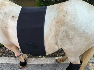 ClinicPBM Equine Red Infrared Light Therapy Wrap - Size: L