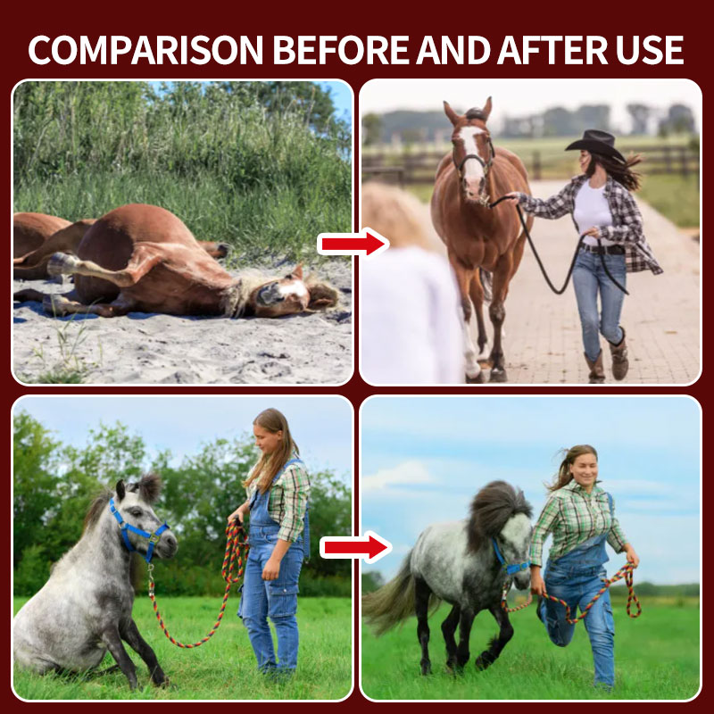 ClinicPBM Advanced Full-Body Equine Red Light Therapy Blanket (Built-in Battery)