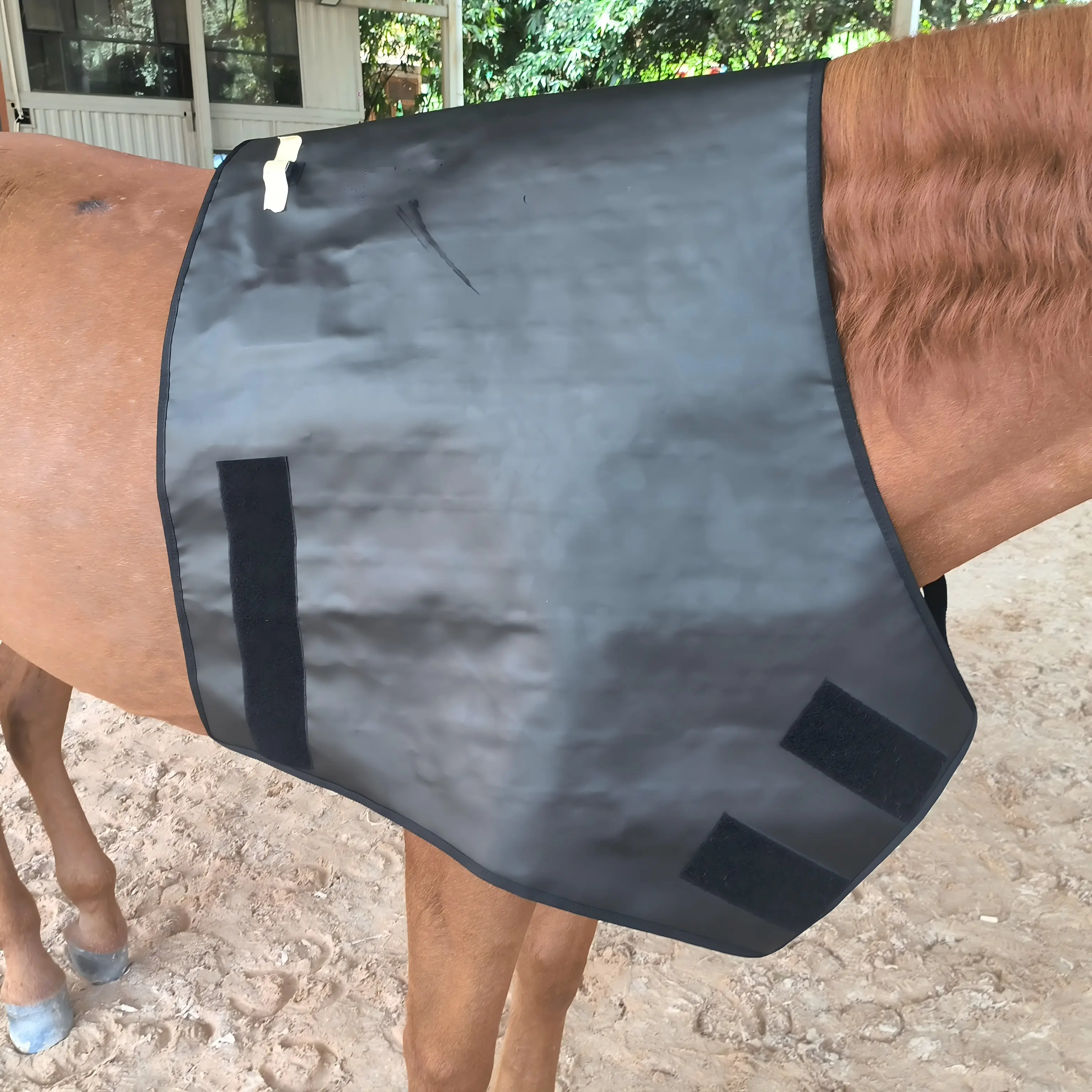 Red Light Therapy Neck Support Wrap for Horses – ClinicPBM