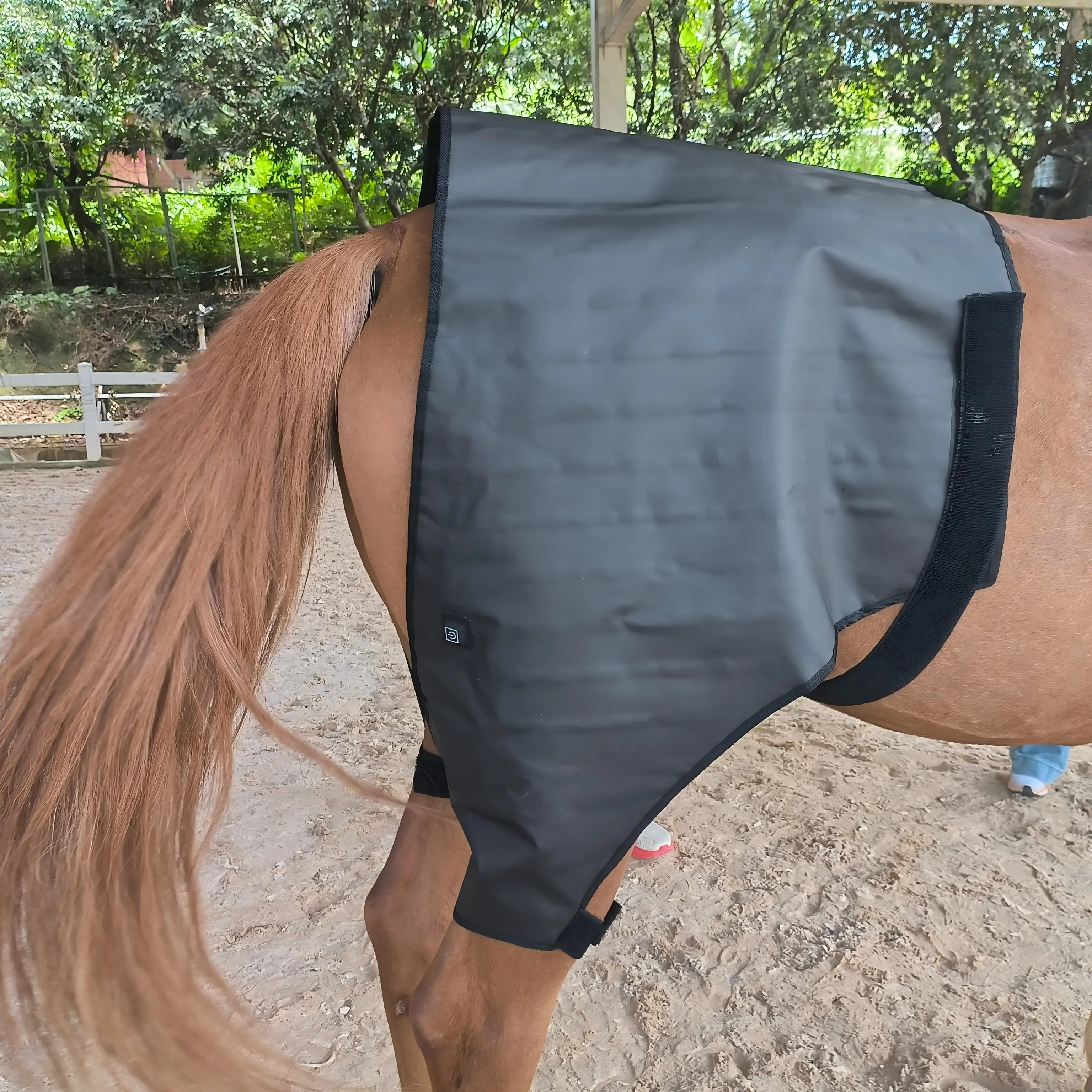 Red Light Therapy Neck Support Wrap for Horses – ClinicPBM