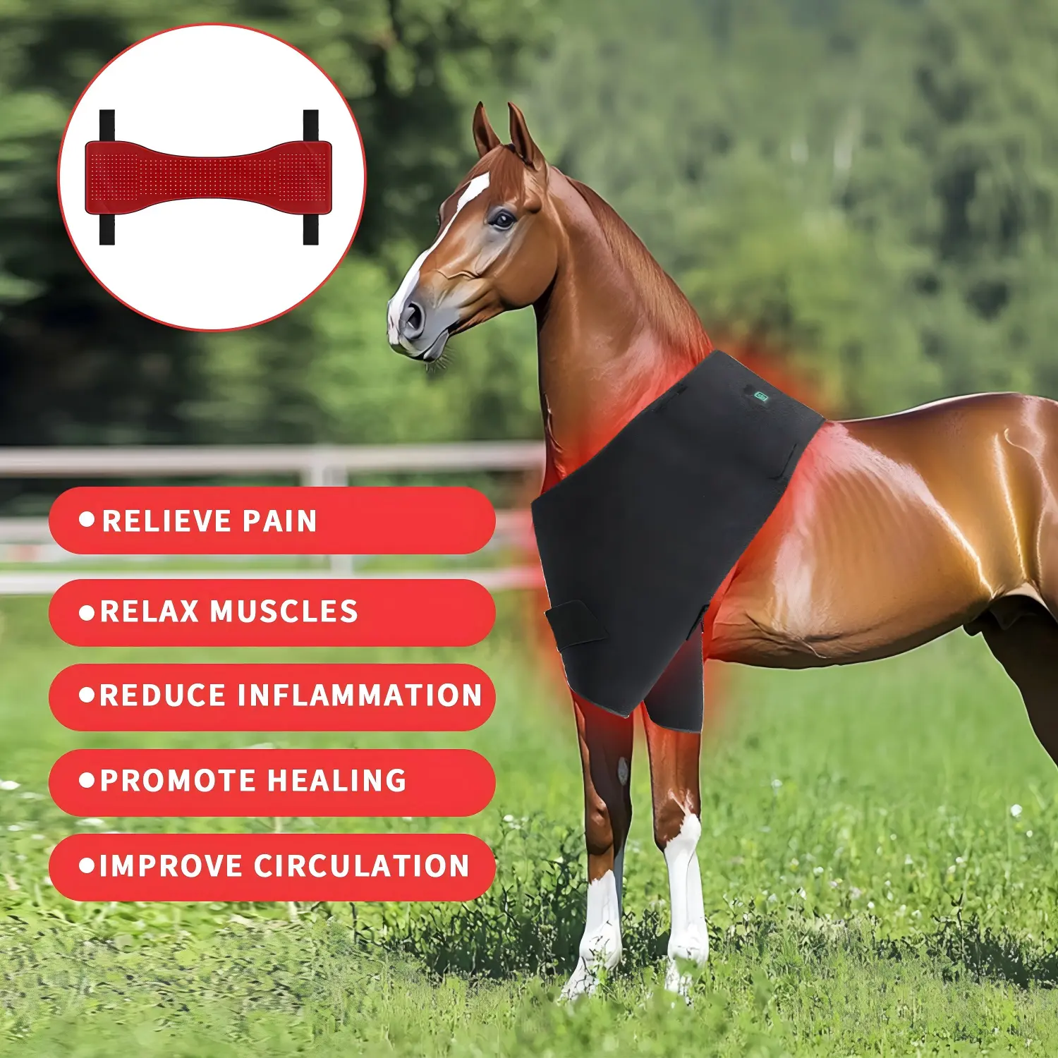 Red Light Therapy Hip and Shoulder Wrap Pad for Horses – ClinicPBM