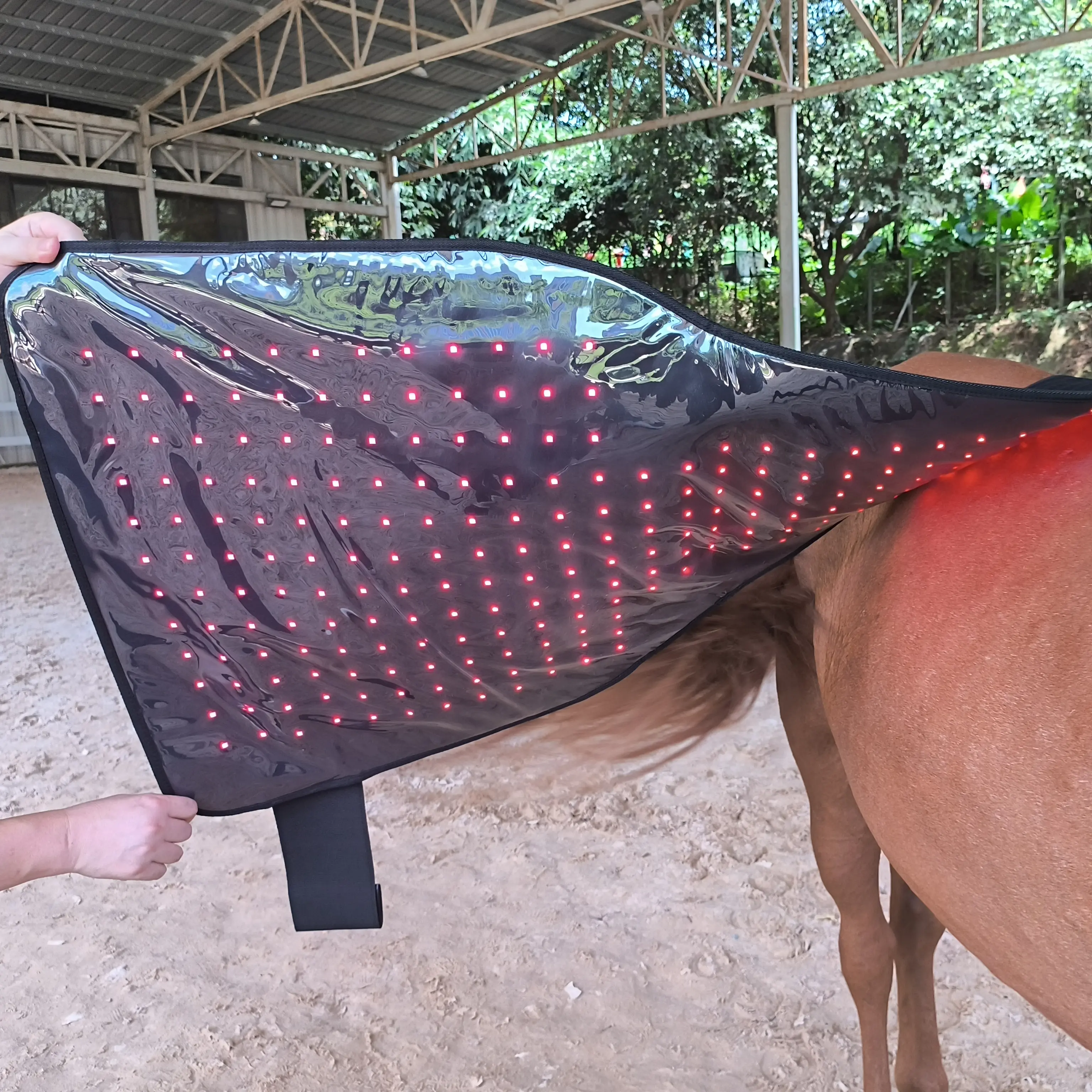 Red Light Therapy Hip and Shoulder Wrap Pad for Horses – ClinicPBM