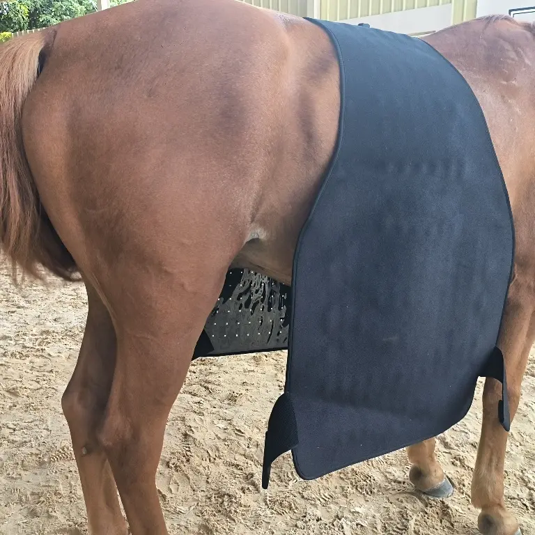 Red Light Therapy Hip and Shoulder Wrap Pad for Horses – ClinicPBM