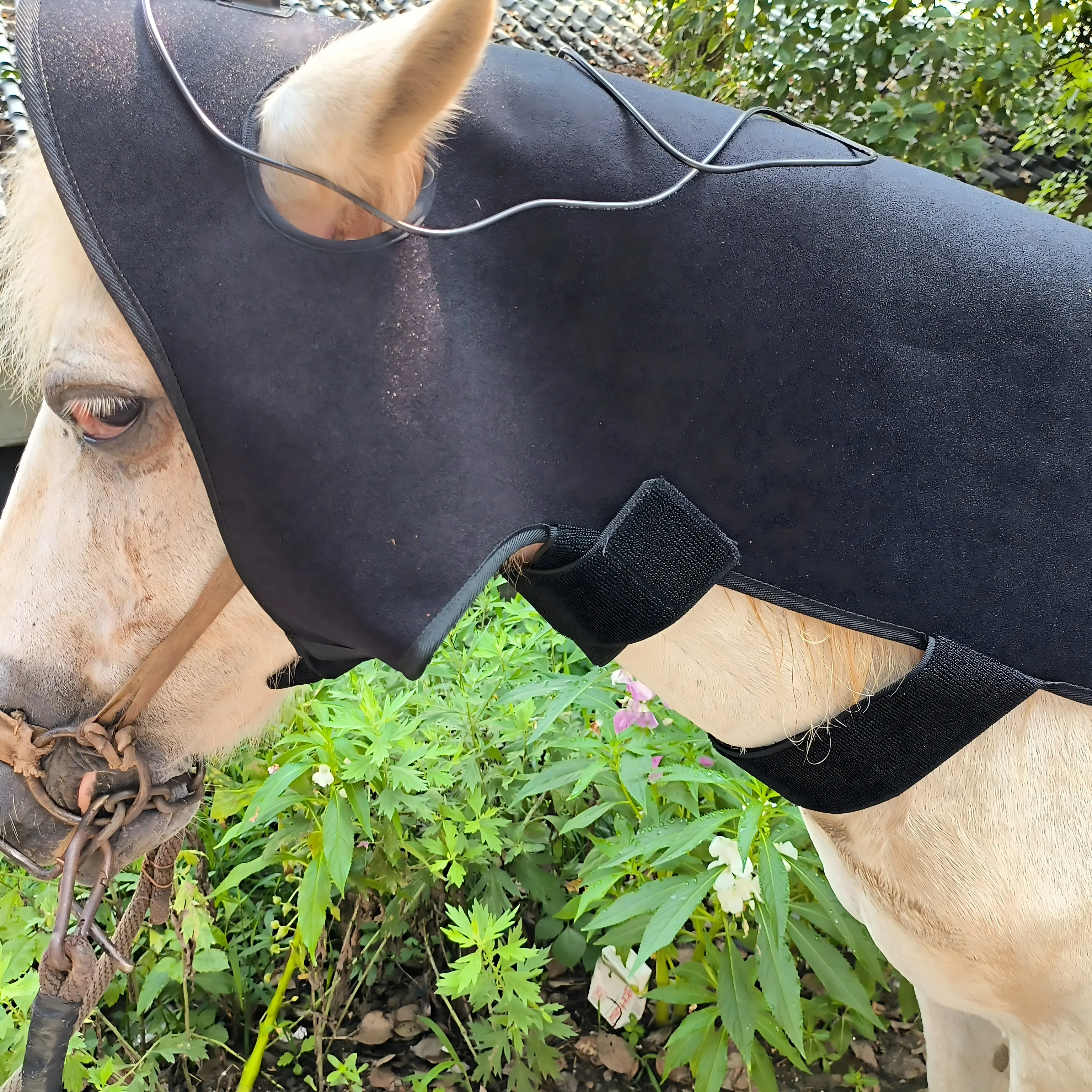 ClinicPBM Equine Red Light Therapy Poll Cap – Size for Pony