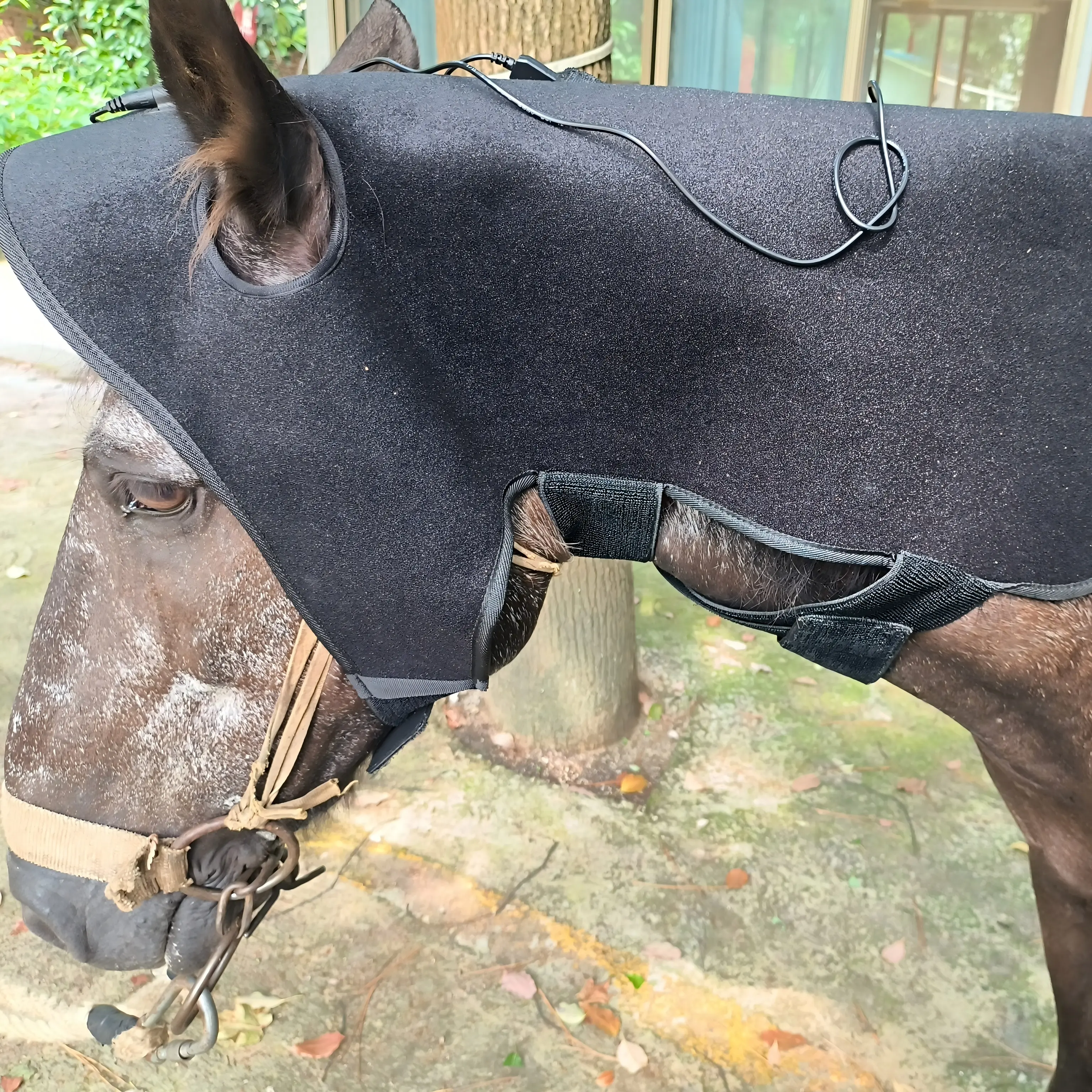 ClinicPBM Equine Red Light Therapy Poll Cap – Size for Pony