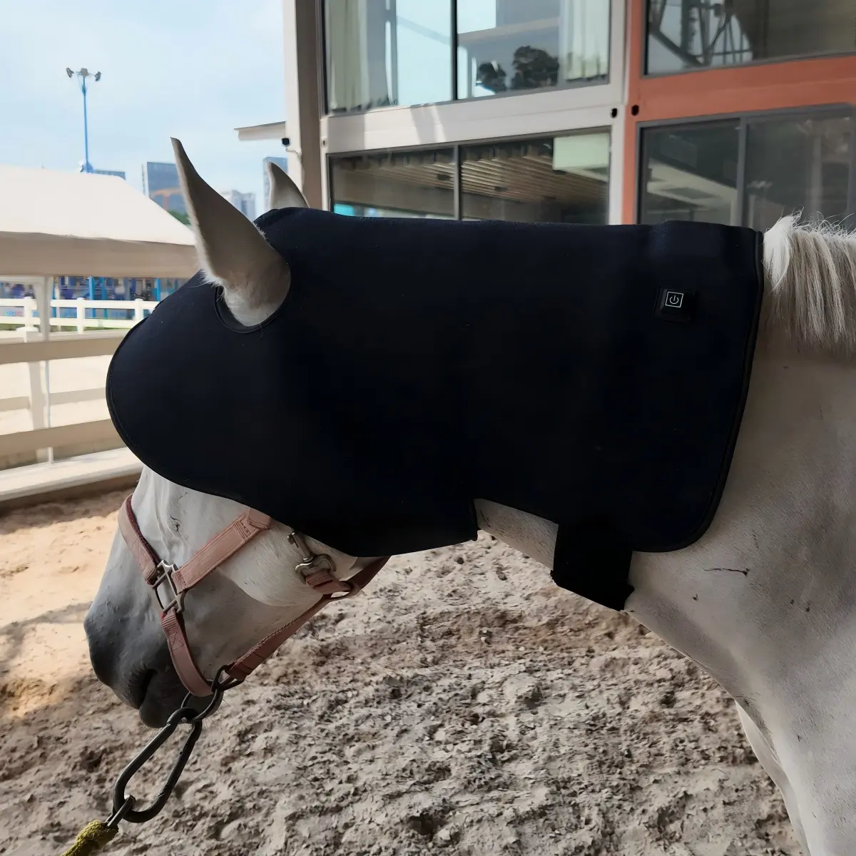 ClinicPBM Equine Red Light Therapy Poll Cap – Size for Pony