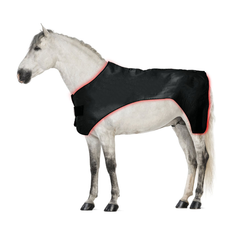 ClinicPBM Advanced Full-Body Equine Red Light Therapy Blanket (Built-in Battery)