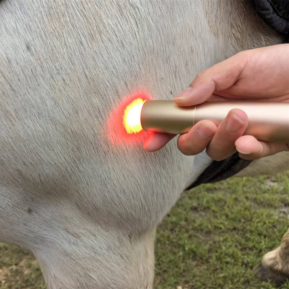 HORSE DOG CAT HANDHELD RED LIGHT THERAPY TORCH 