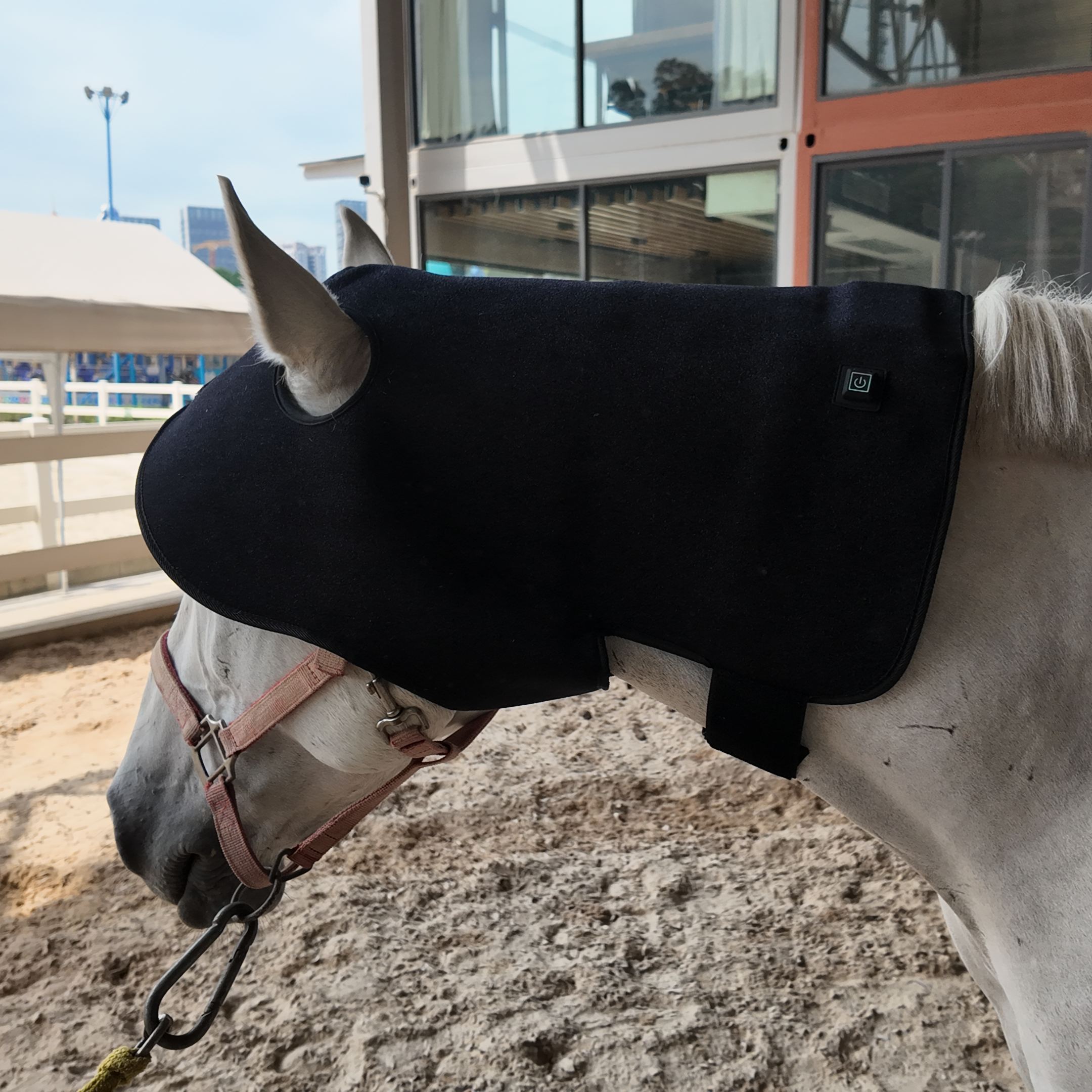 ClinicPBM Equine Red Light Therapy Poll Cap (Built-in Battery) - Size for Pony