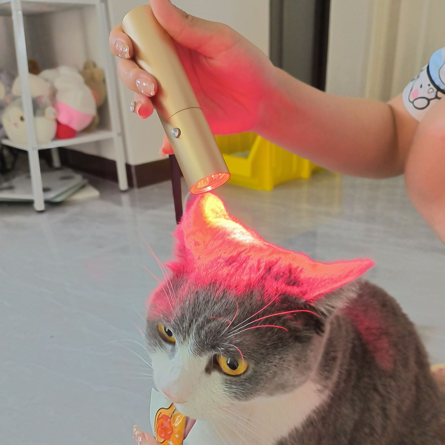 HORSE DOG CAT HANDHELD RED LIGHT THERAPY TORCH 