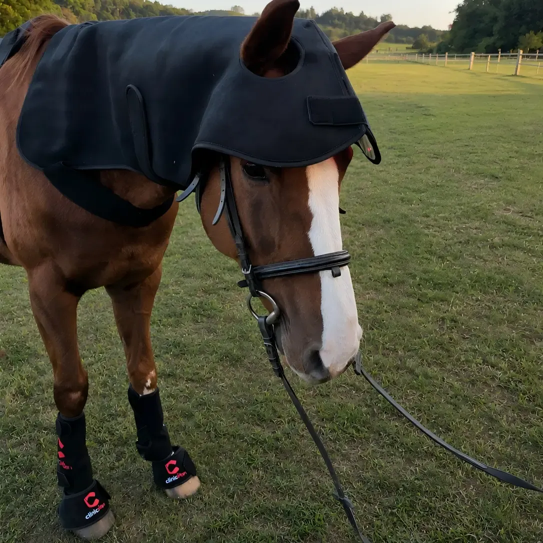 Professional Equine Red Light Therapy Bundle (3-Piece Set) | ClinicPBM