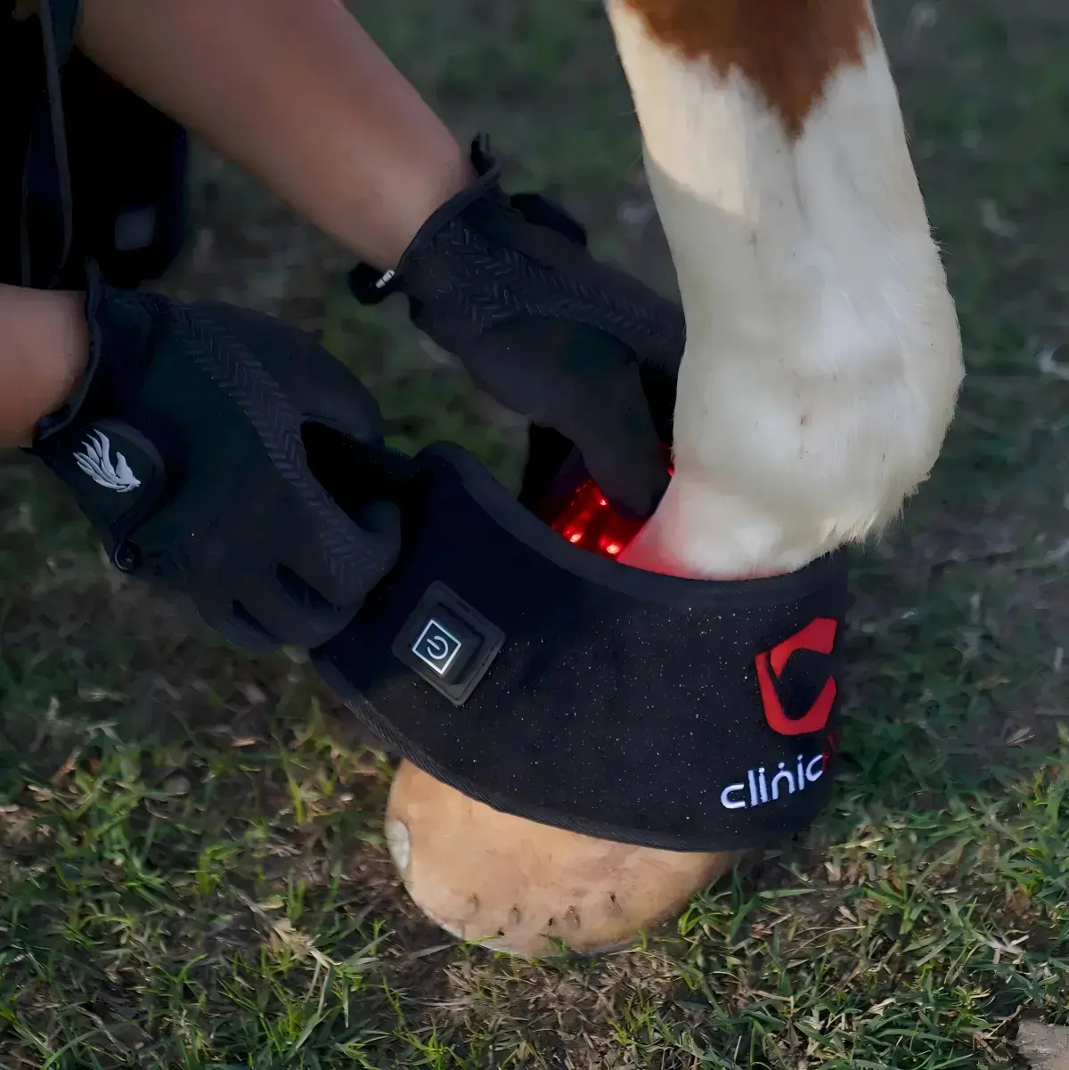 Professional Equine Red Light Therapy Bundle (3-Piece Set) | ClinicPBM