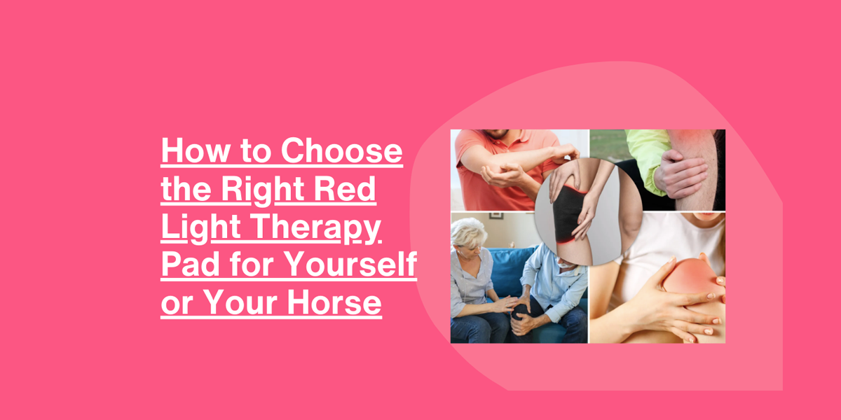 How to Choose the Right Red Light Therapy Pad for Yourself or Your Horse-ClinicPBM