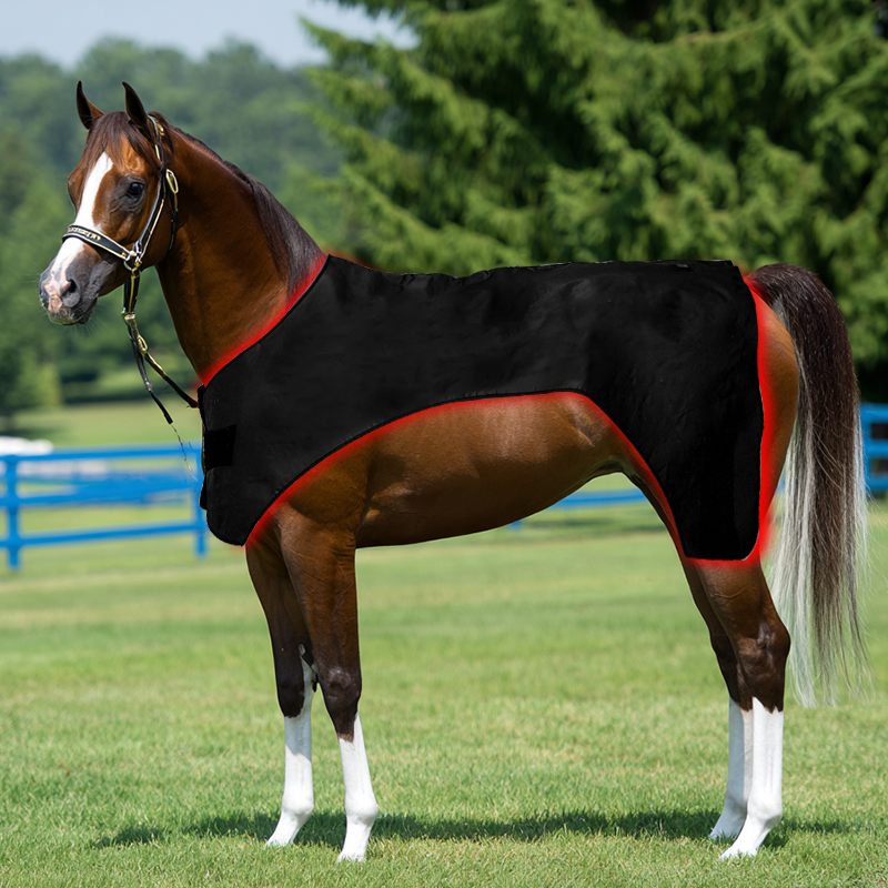 ClinicPBM Advanced Full-Body Equine Red Light Therapy Blanket (Built-in Battery)