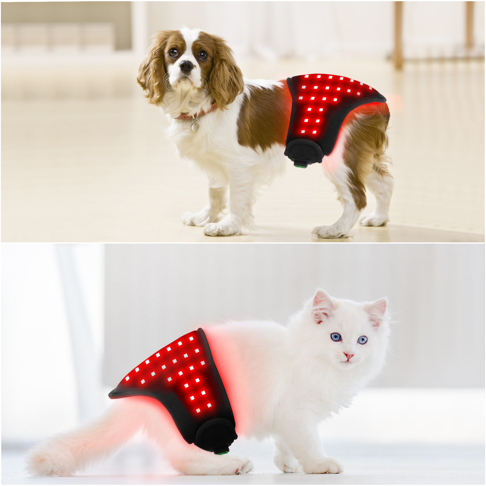 Red Light Therapy Dog Wrap (Built-in Battery) - ClinicPBM