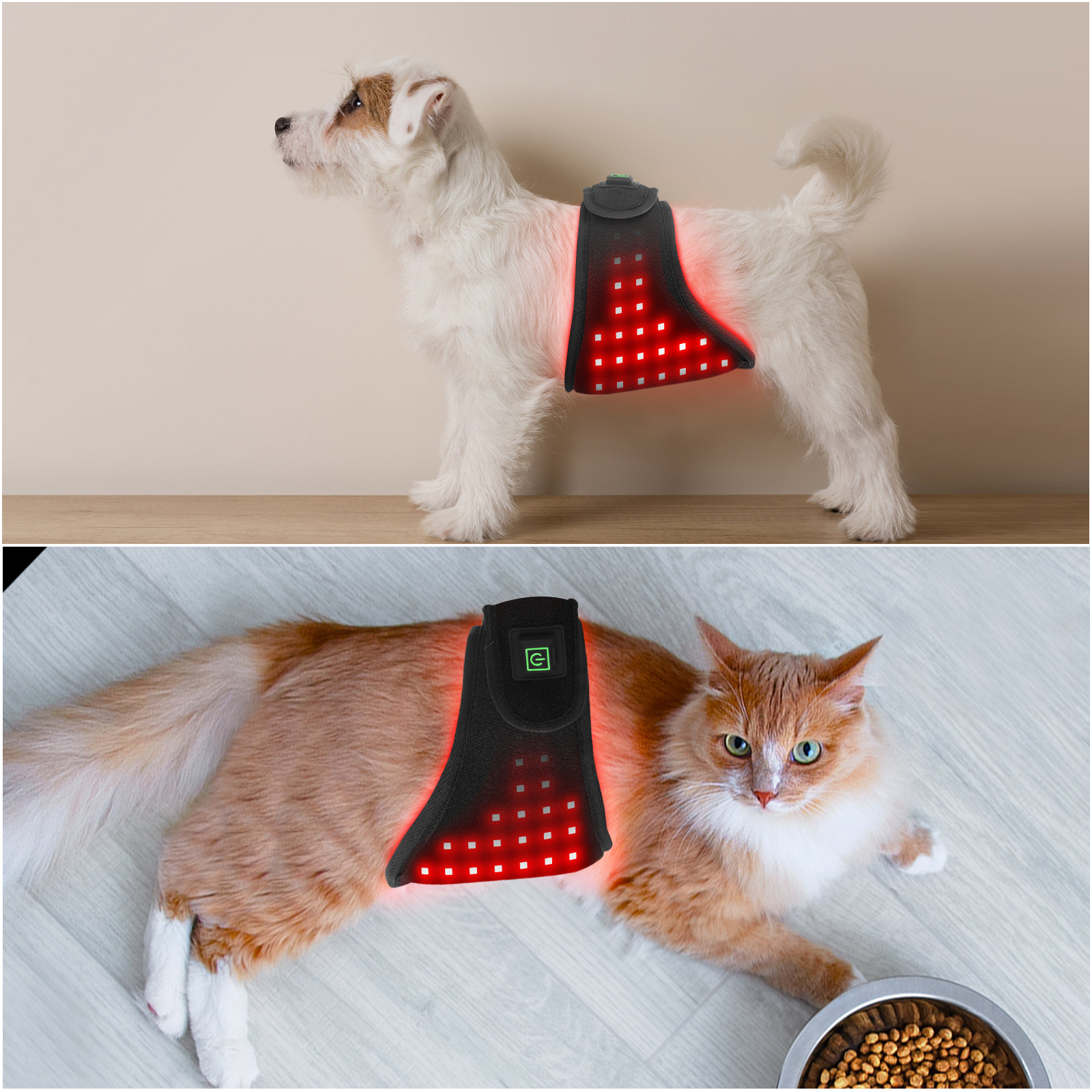 Red Light Therapy Dog Wrap (Built-in Battery) - ClinicPBM