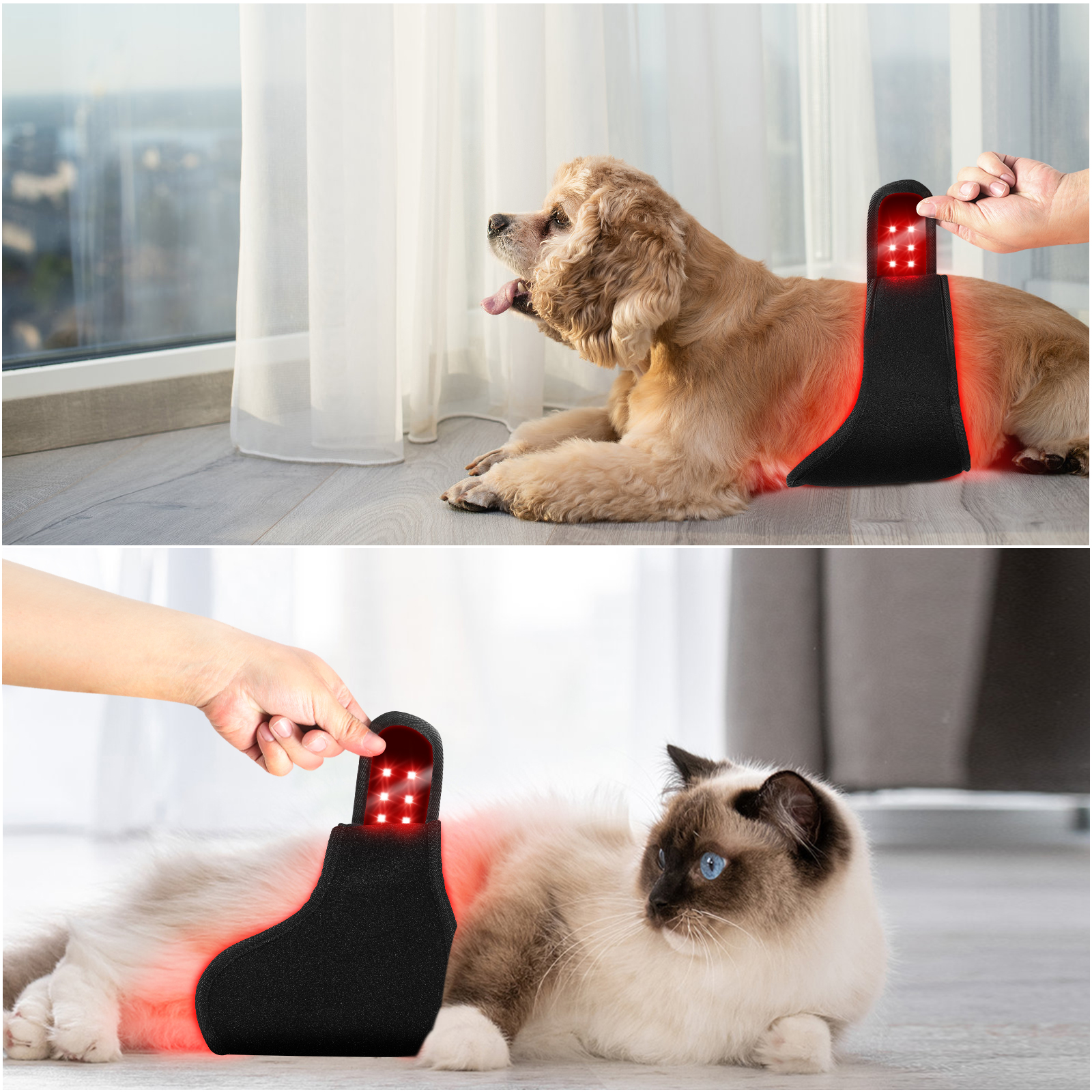 Red Light Therapy Dog Wrap (Built-in Battery) - ClinicPBM