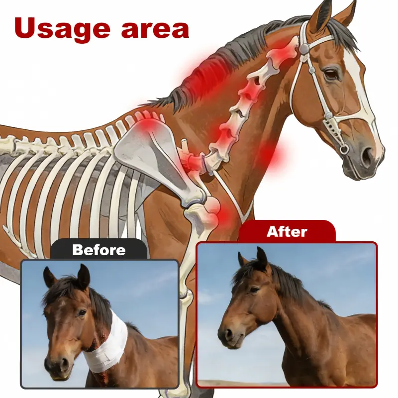 Red Light Therapy Neck Support Wrap for Horses – ClinicPBM
