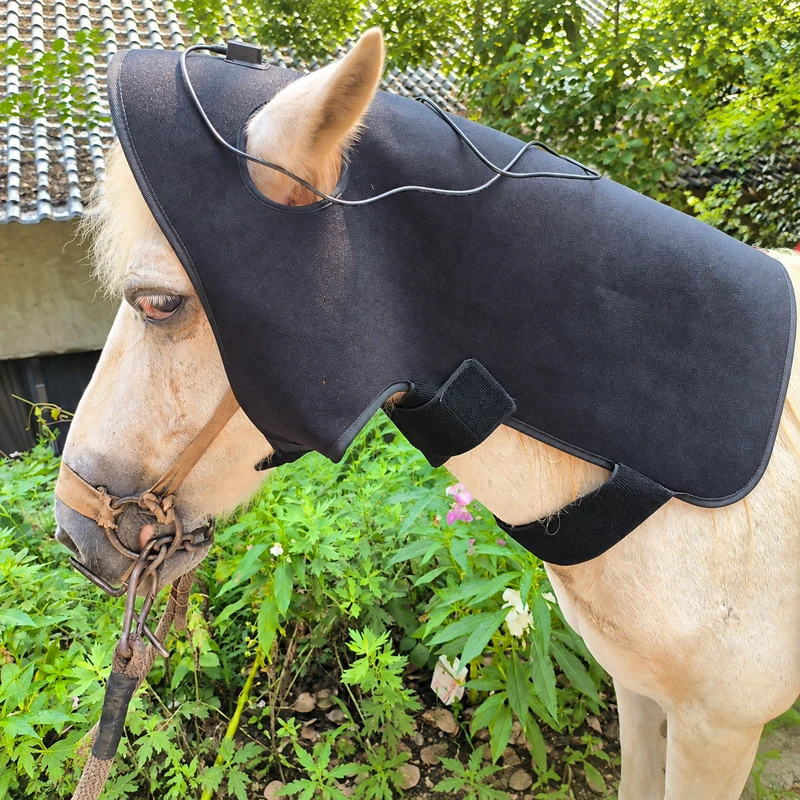 ClinicPBM red light therapy poll cap fitted over a horse’s poll and neck outdoors, a non-invasive drug-free recovery device