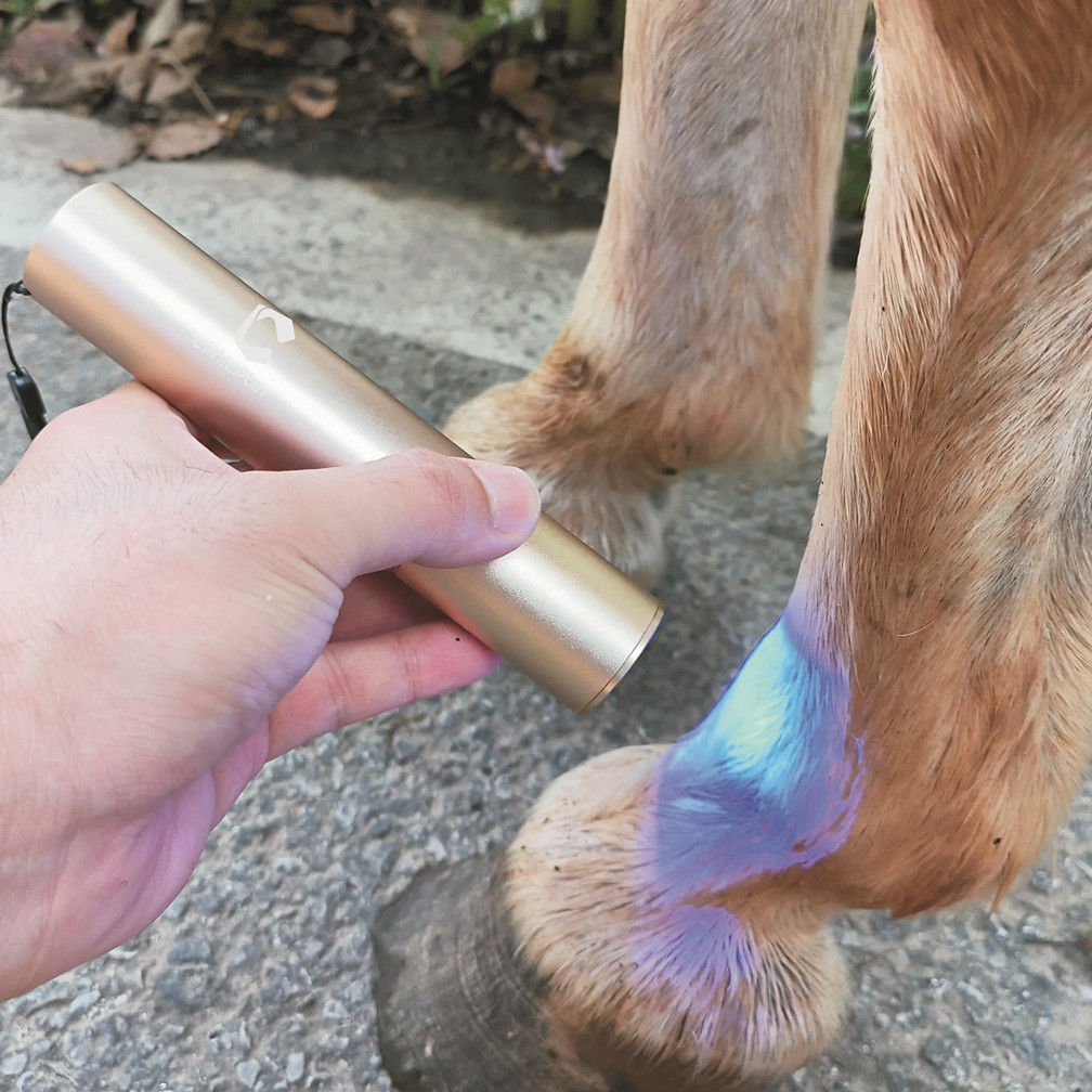 HORSE DOG CAT HANDHELD RED LIGHT THERAPY TORCH 