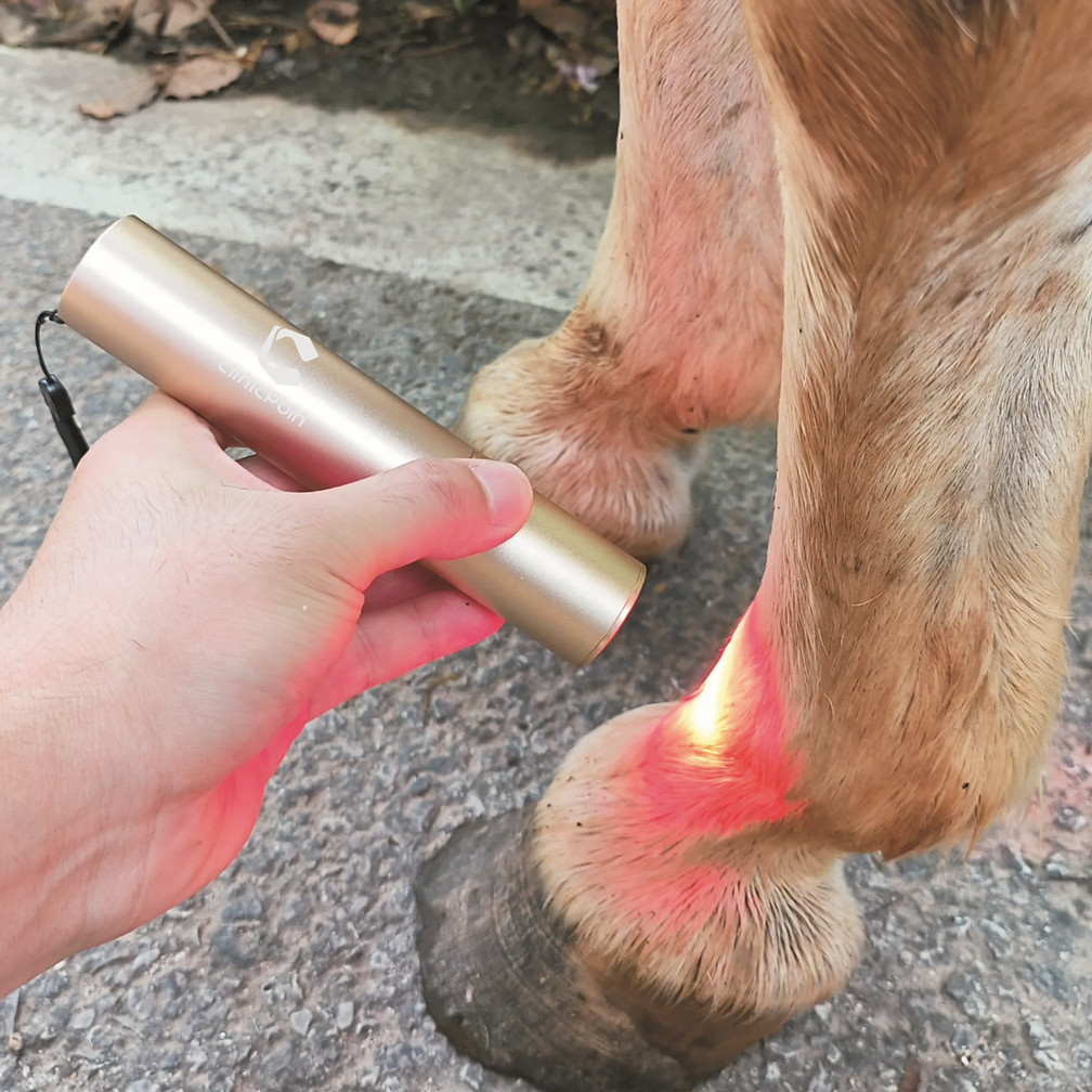 HORSE DOG CAT HANDHELD RED LIGHT THERAPY TORCH 