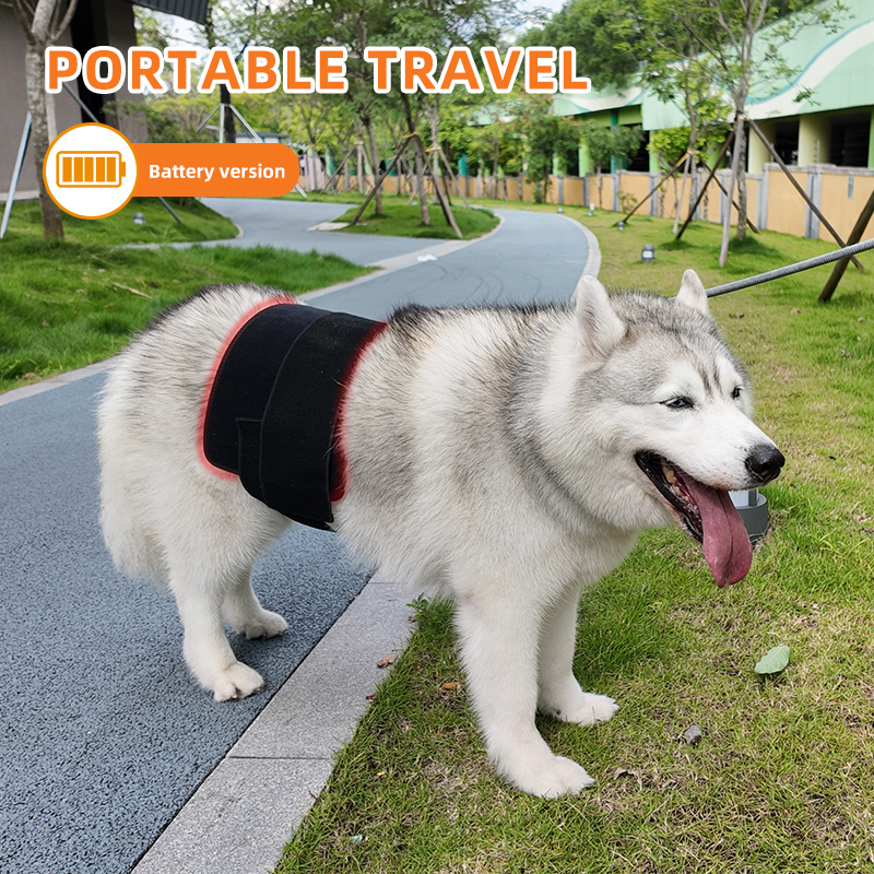 ClinicPBM Equine Red Light Therapy Leg / Back/ Neck Wrap - Size M (Built-in Battery)