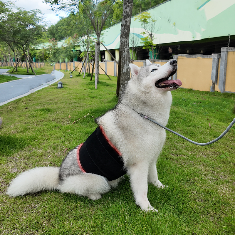 ClinicPBM Equine Red Light Therapy Leg / Back/ Neck Wrap - Size M (Built-in Battery)