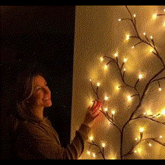 VineLights™️ | Bezaubernde Weidenrebe – DAVATAR