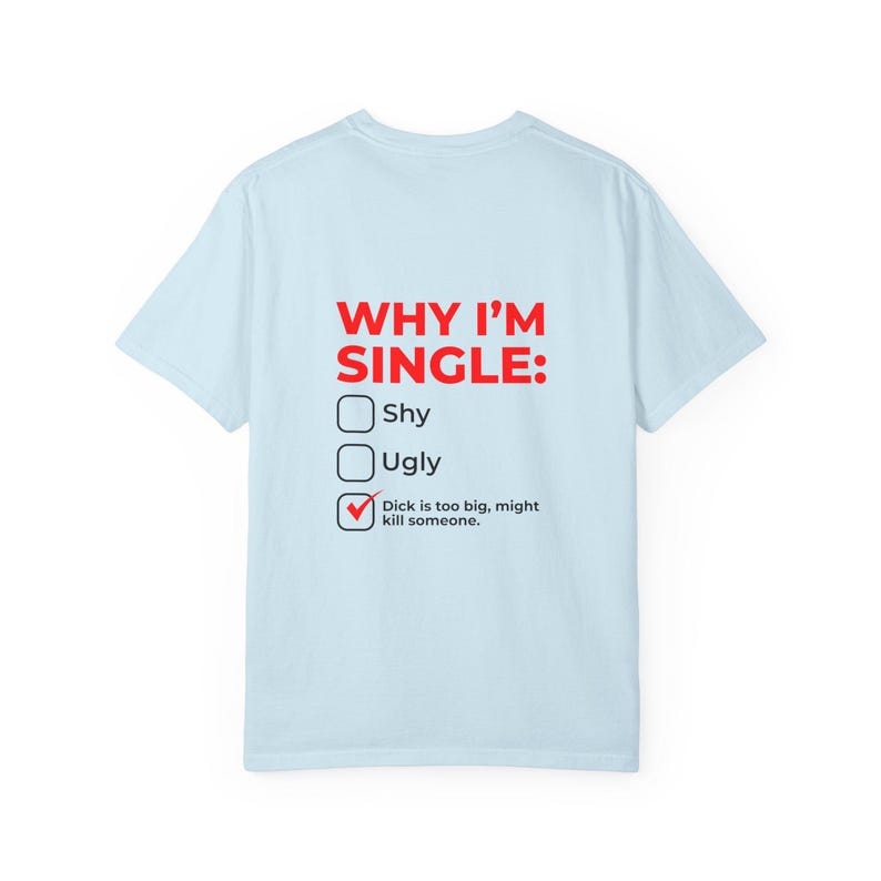Why I'm Single Meme Shirt, Adult Humor Graphic Tee