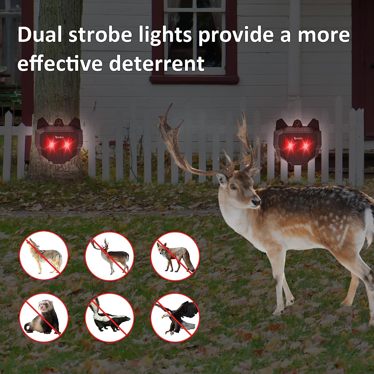 Solar Nocturnal Animal Repeller