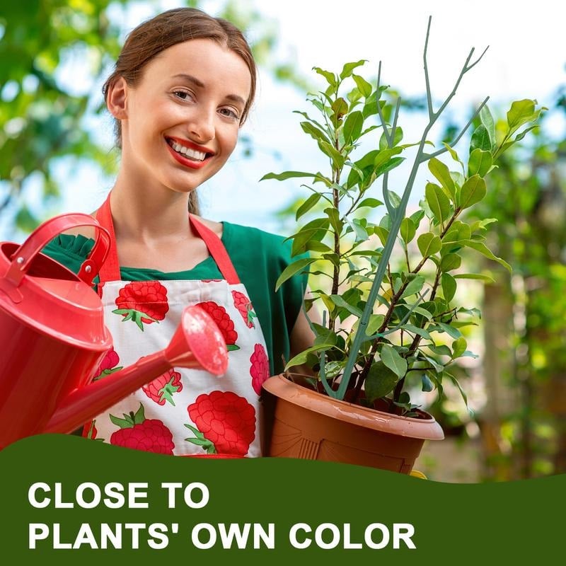 💕Hot sale 49% OFF💖🌿 5 Pack Plant Support Stakes