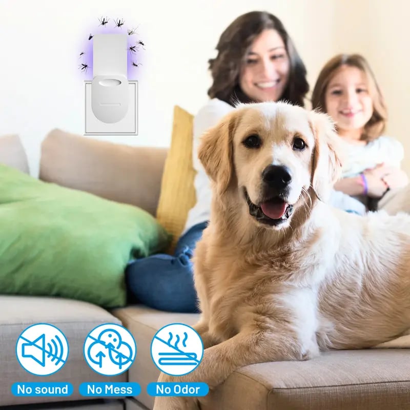 (1 Device + 5 Refills)Fruit Fly Traps for Indoors,Gnat Traps for House Indoor Plug-in Light for Flies