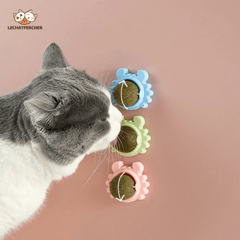(🎁2023-Christmas Hot Sale🎁)CATNIP WALL BALL(Buy More Save More)