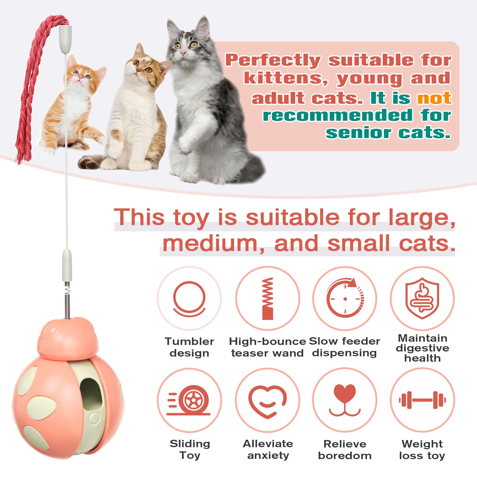 🐱Cat Tumbler Interactive Toy
