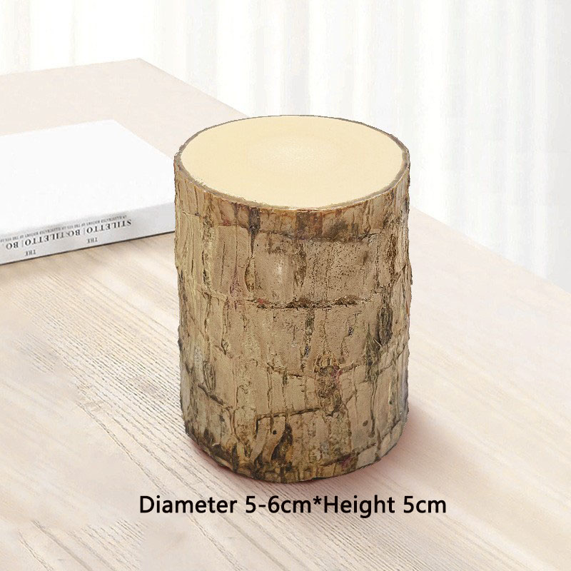 49% Off✨Brazilian Lucky Wood Hydroponic Plants