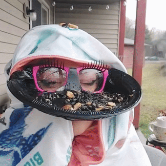 Glasses-Framed Bird Feeder